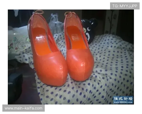 凯发登录网址最新入口，确保用户快速便捷登录体验