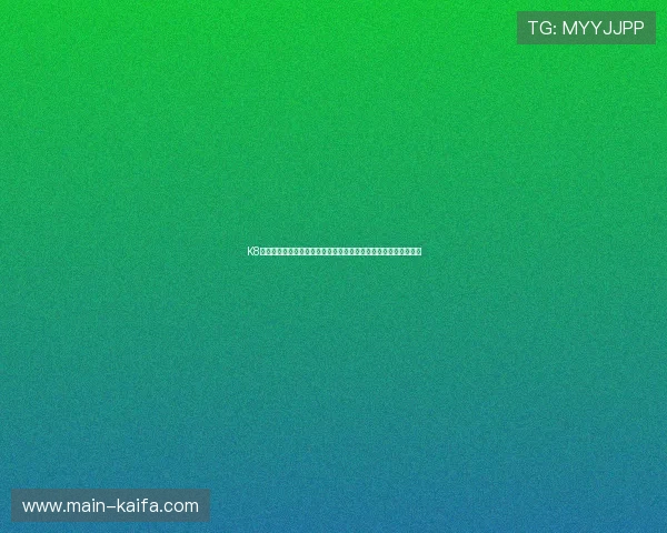 K8登录网站最新入口地址及安全登录指南帮助玩家顺利进入游戏体验